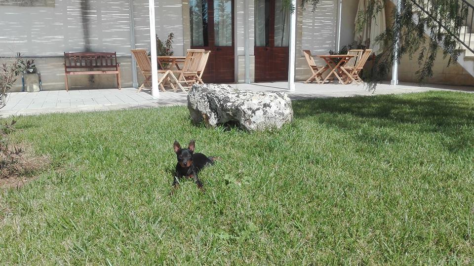 Masseria Sucea Martano Ngoại thất bức ảnh